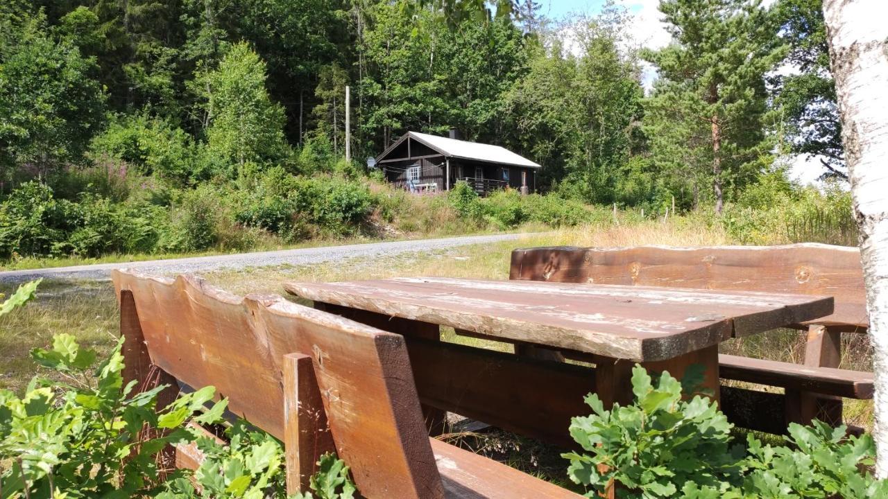 Solheim. Hytte Med 2 Soverom Birkenes Extérieur photo